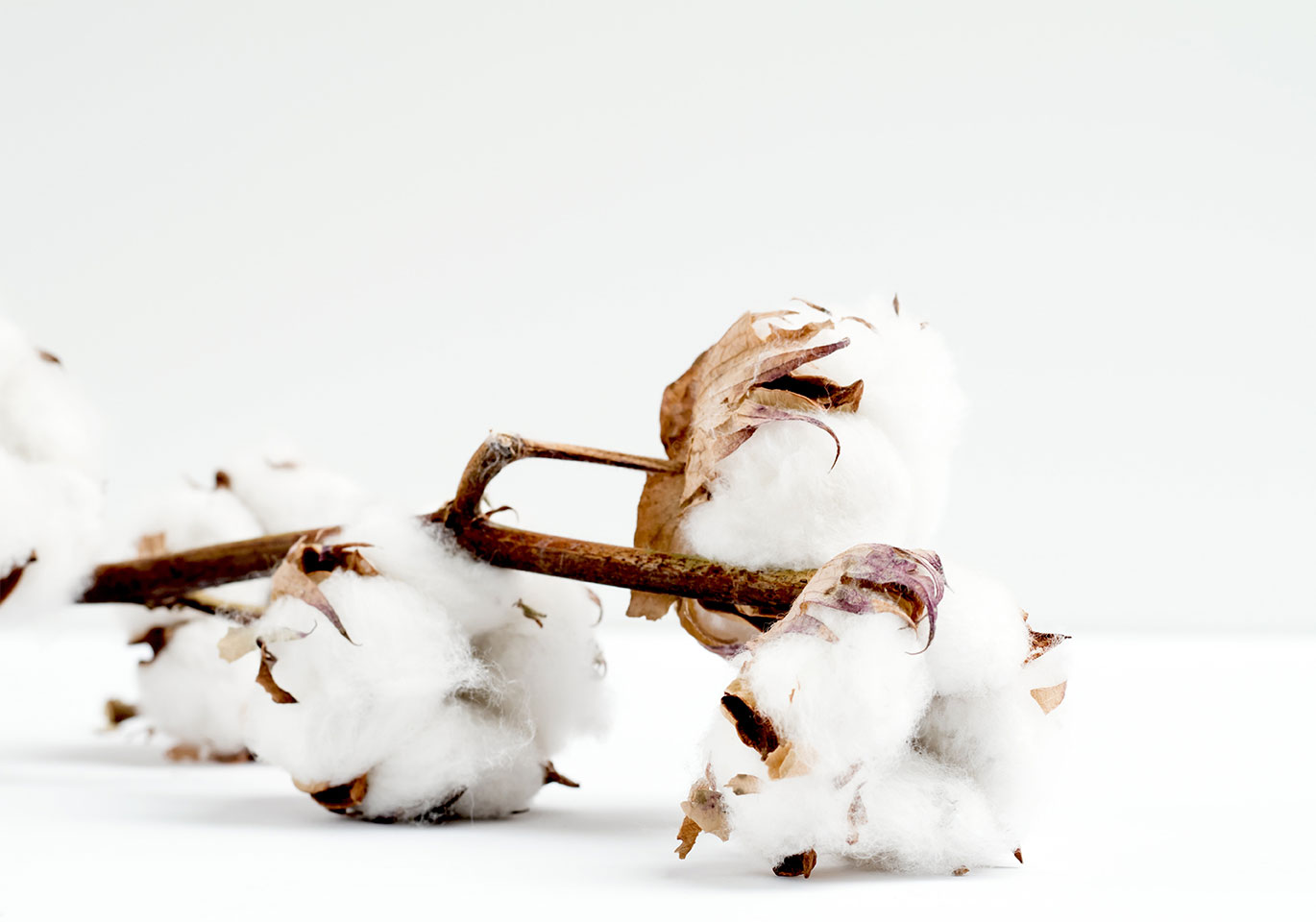 Sustainability at Superdry Superdry Careers